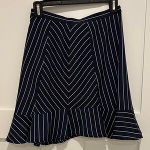 J. Crew Navy and White Chevron A-Line Skirt